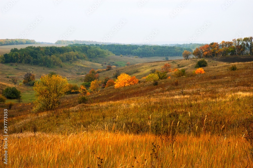 Colors of autumn in valley landscape