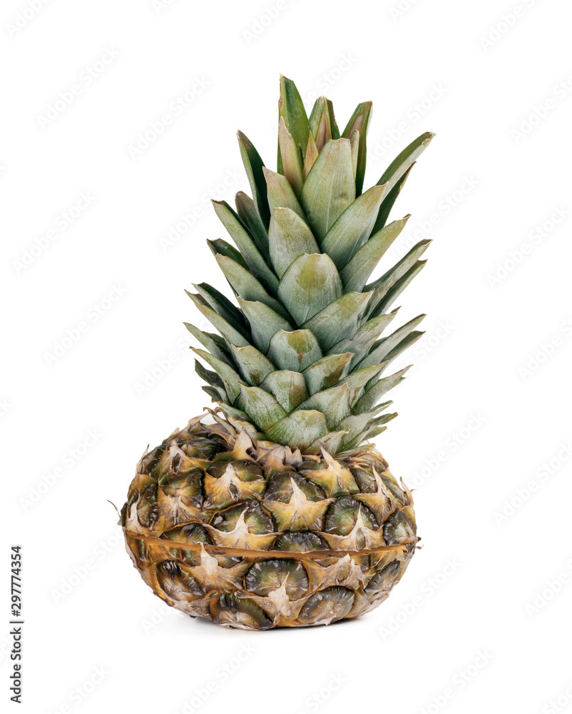 mini pineapple isolated on a white background mini pineapple isolated on a white background