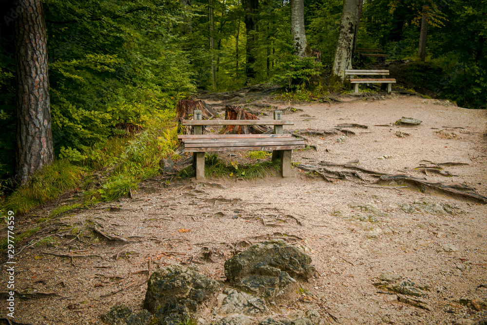 Park benches. Place to walk and picnic area in Europe. Park alleys and wooden benches. Bench by the lake Park benches. Place to walk and picnic area in Europe. Park alleys and wooden benches. Bench by the lake