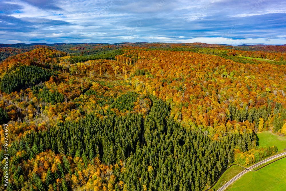 Herbst Wald