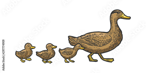 Duck bird with ducklings crosses road sketch engraving vector illustration. T-shirt apparel print design. Scratch board style imitation. Black and white hand drawn image.