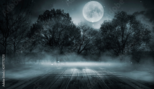 Dark forest. Gloomy dark scene with trees, big moon, moonlight. Smoke, shadow. Abstract dark, cold street background. Night view. 