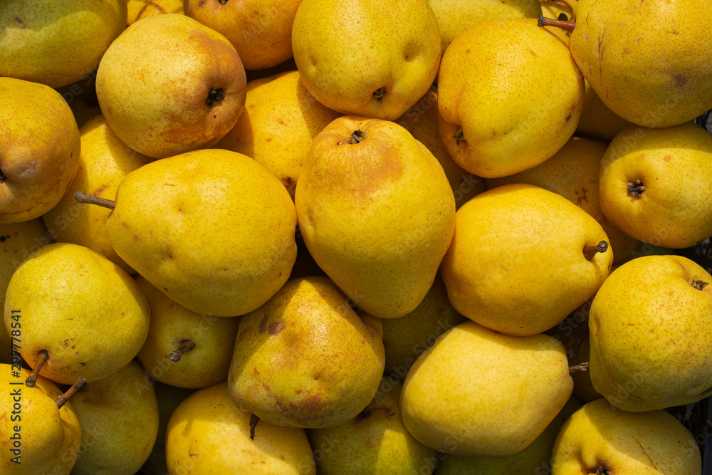 Fresh yellow pears. Gifts of Autumn.