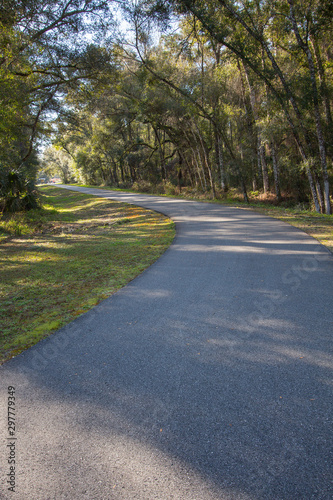 Hiking and bicycling trail through a beautiful forest in central Florida photo