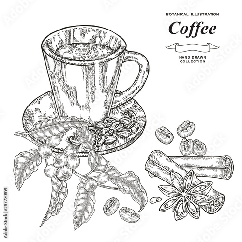 Hand drawn cup of coffee with coffee branch, grains, cinnamon and anise star. Vector illustration vintage. Black and white engraving style.