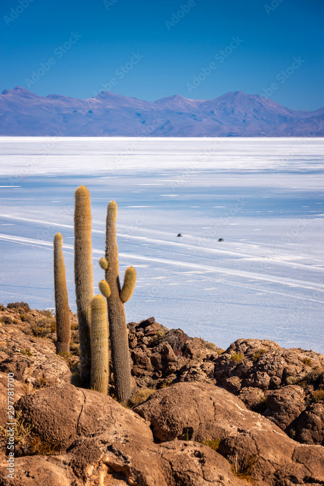 Cactuses in Incahuasi island, SUV cars in Salar de Uyuni salt flat in the background, Potosi, Bolivia