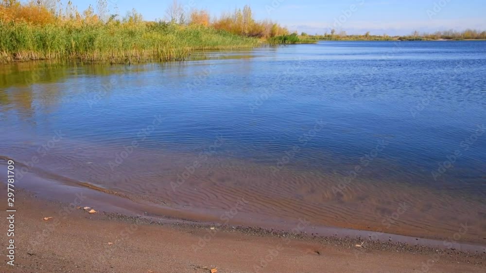 Bay with an empty sandy beach, clear blue water and reeds growing on the shore Bay with an empty sandy beach, clear blue water and reeds growing on the shore