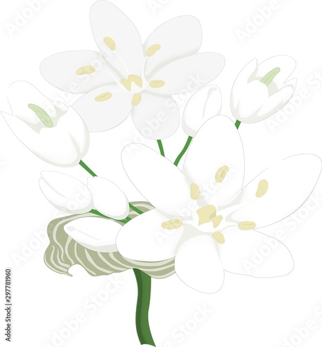 allium botany garden business logo design vector
