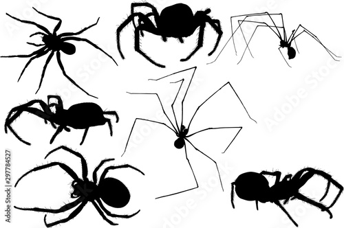 seven isolated black spiders illustration