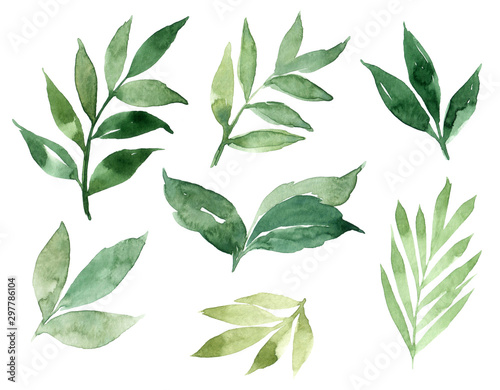 Hand drawn watercolor illustration of abstract green branch. Elements for design of invitations, movie posters, fabrics and other objects, isolated on white background
