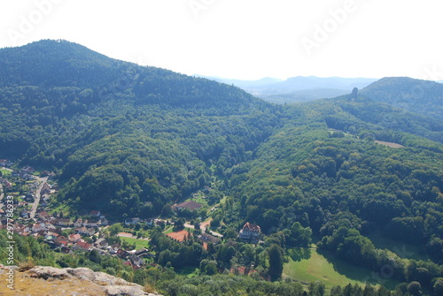 Pfälzer Wald bei Annweiler in Rheinland-Pfalz © hajo100