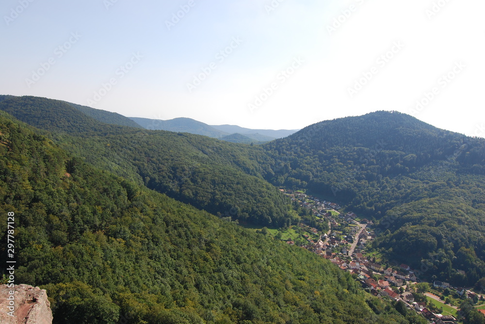 Pfälzer Wald bei Annweiler in Rheinland-Pfalz