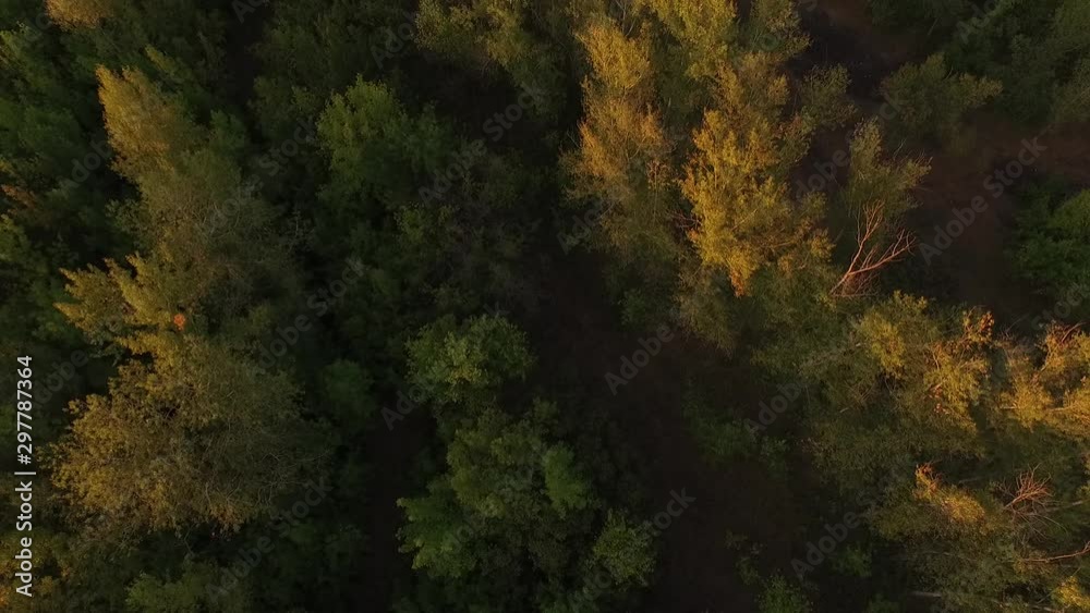 Aerial drone shot flying over the autumn forest valley, aerial view Aerial drone shot flying over the autumn forest valley, aerial view