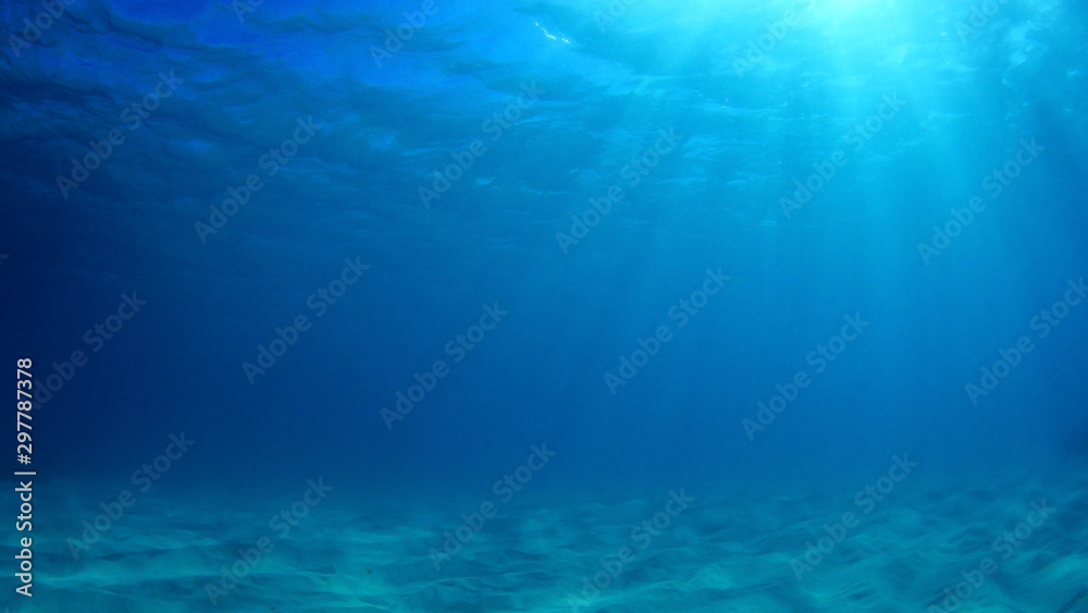 Underwater background photo in ocean 