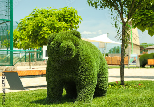 Beautiful bear shaped topiary at zoo on sunny day. Landscape gardening photo
