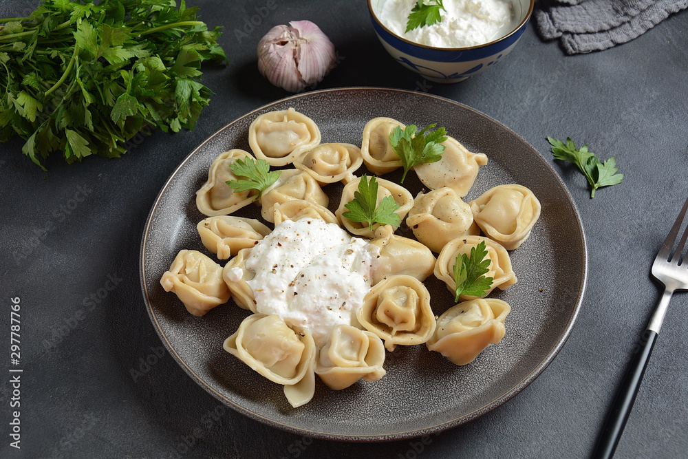 Homemade Meat Dumplings served with sour cream and fresh parsley on plate.Traditional russian food- pelmeni, ravioli Homemade Meat Dumplings served with sour cream and fresh parsley on plate.Traditional russian food- pelmeni, ravioli