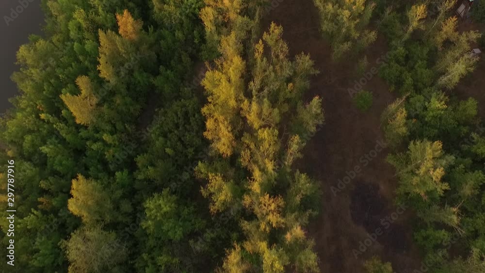 Aerial drone shot flying over the autumn forest valley, aerial view Aerial drone shot flying over the autumn forest valley, aerial view