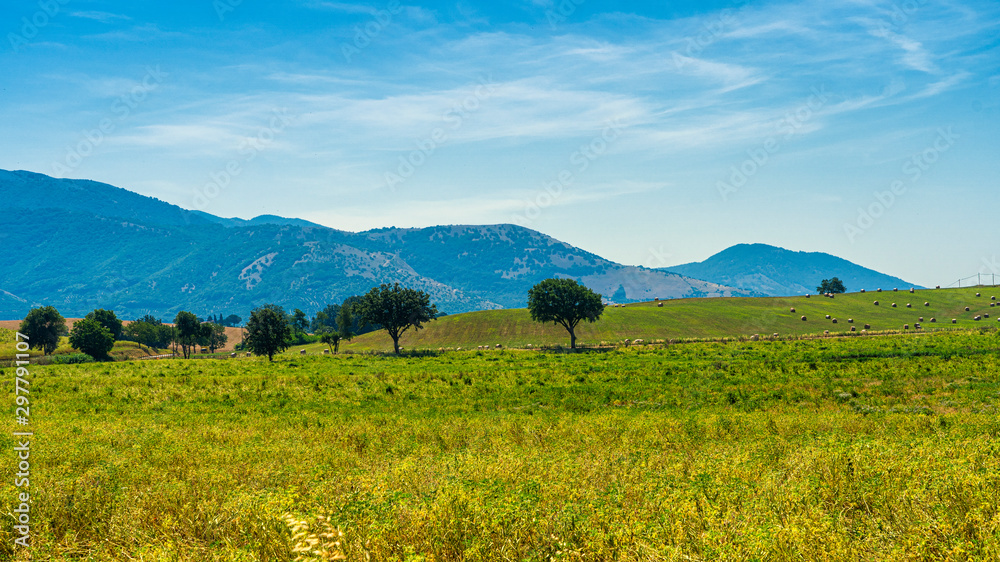 Rural landscape near Velletri at summer