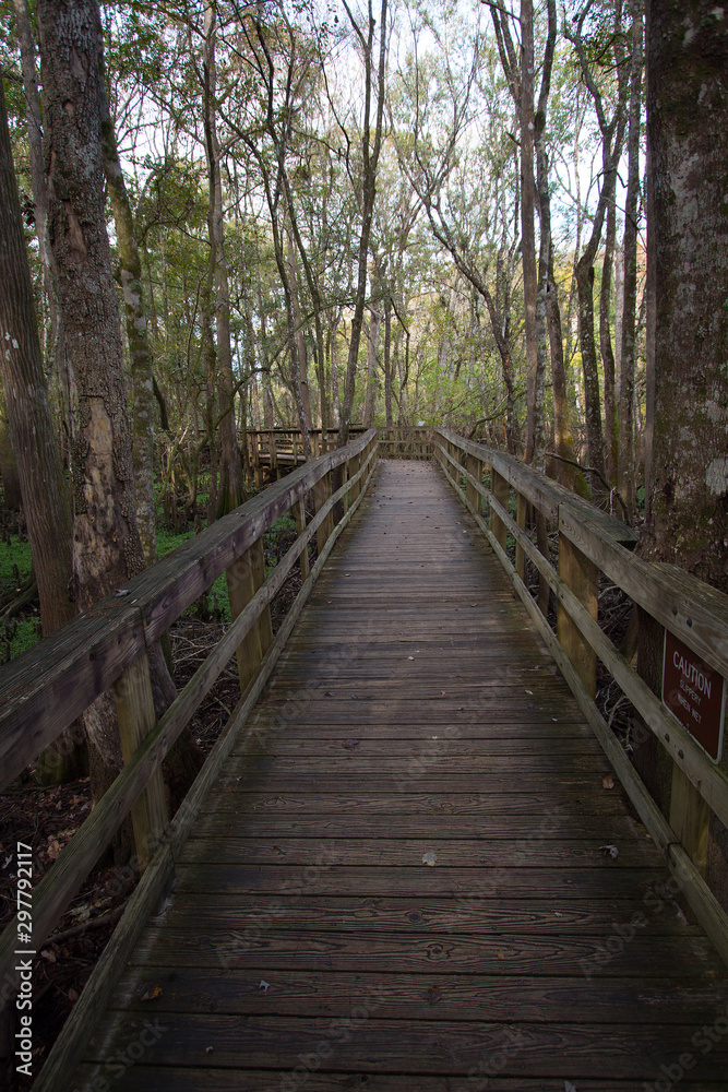 Boardwalk at Manatee Springs State Park, Chiefland, Florida Boardwalk at Manatee Springs State Park, Chiefland, Florida