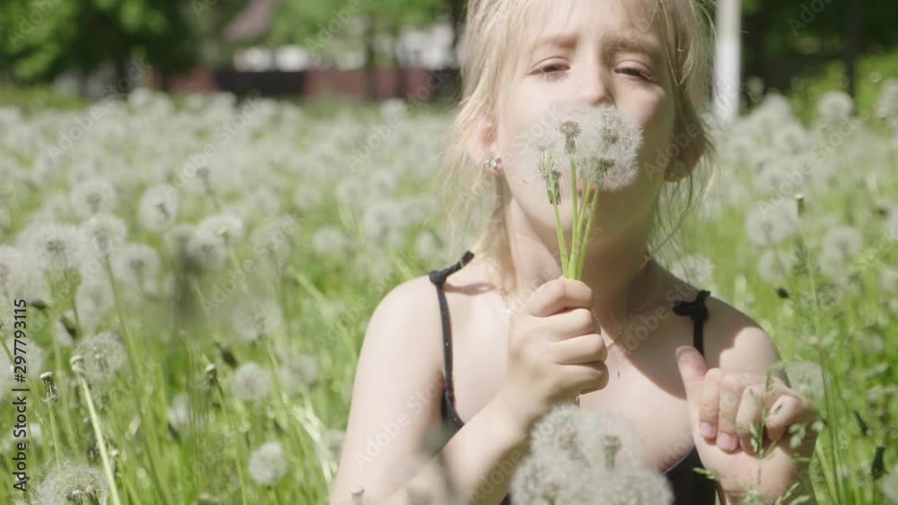 Cute little girl having fun looks at Dandelion seeds while relaxing in the park. Cute little girl having fun looks at Dandelion seeds while relaxing in the park.