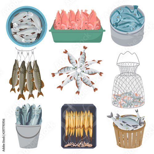 Fresh fish vector raw sea salmon trout pike in net seafood illustration fishing market set of marine food wild perch in bucket isolated on white background