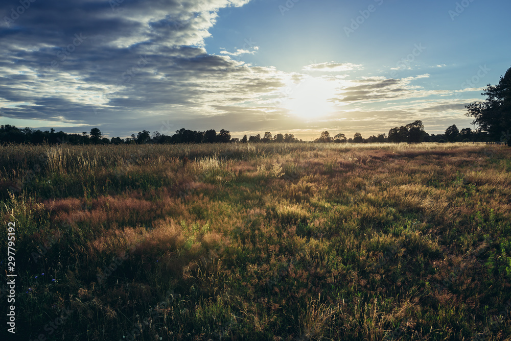 Sunset over meadow in Mazowsze region of Poland Sunset over meadow in Mazowsze region of Poland
