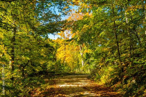 Donautal im Herbst