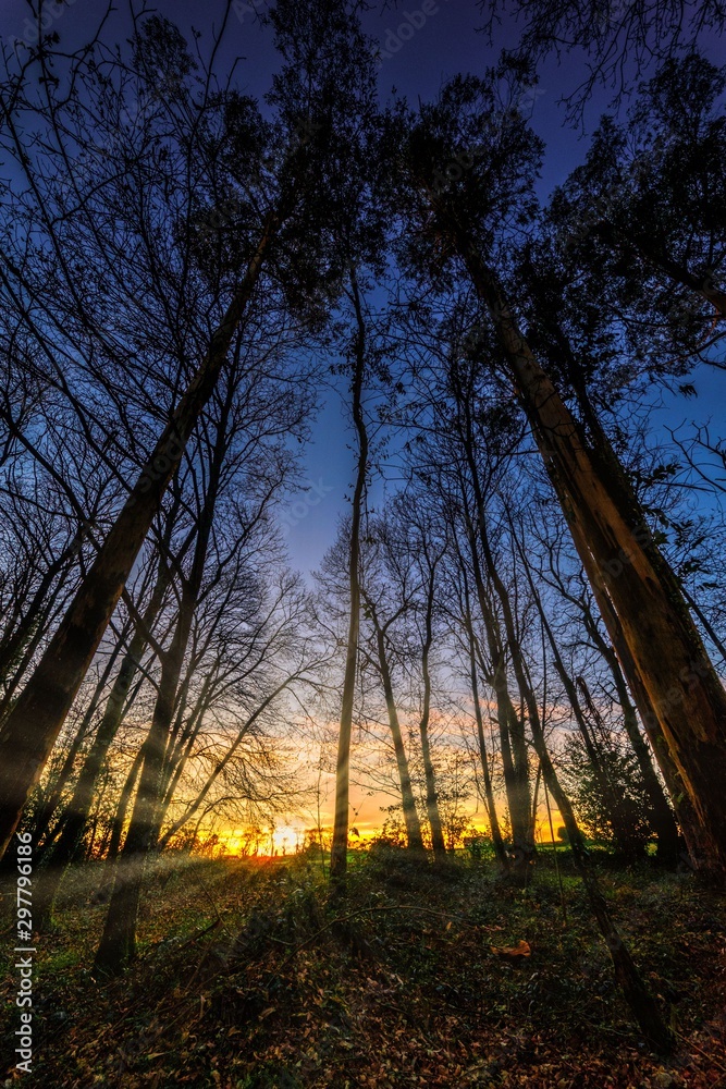 Obraz premium Atardecer