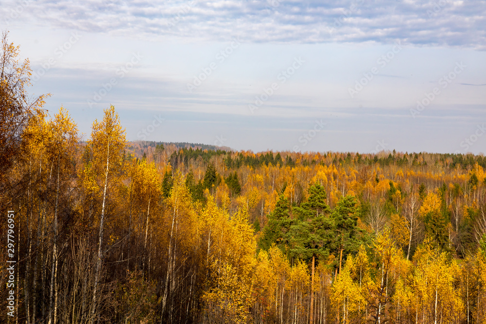 Autumn colours in forest in Latvia, Latgale
