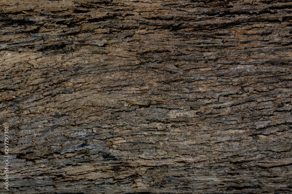 Embossed texture of the bark. Panoramic photo texture. Embossed texture of the bark. Panoramic photo texture.
