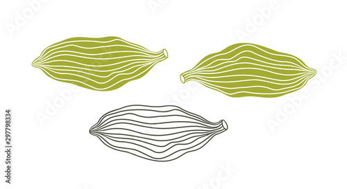 Cardamom logo. Isolated cardamom on white background