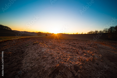 Early morning sunrise field panorama