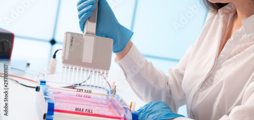 Loading Samples and Running an Agarose Gel for electrophoresis  Gel electrophoresis is the standard lab procedure for separating DNA