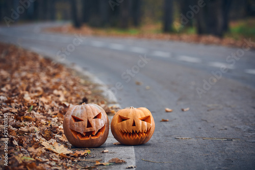 Two Halloween Pumpkins on the side of the road in the forest