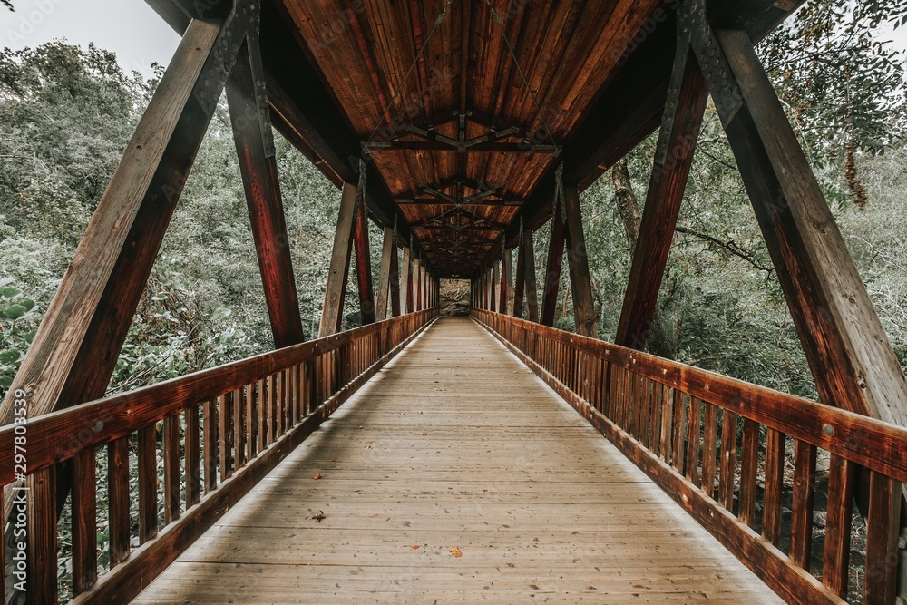 empty bridge during fall