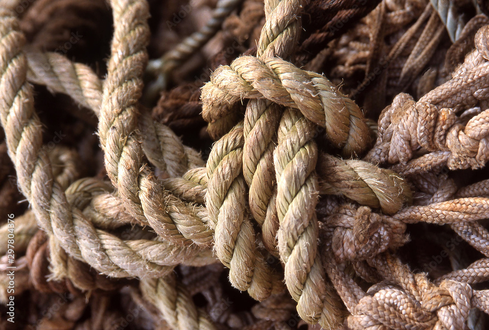 Rope and netting of commerical fishing nets Rope and netting of commerical fishing nets