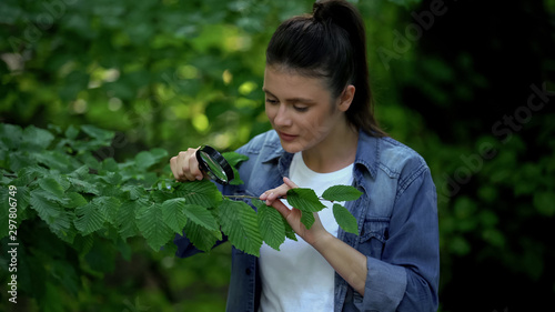 Obraz na plátně Caucasian woman looking at tree leaves through magnifying glass, nature research