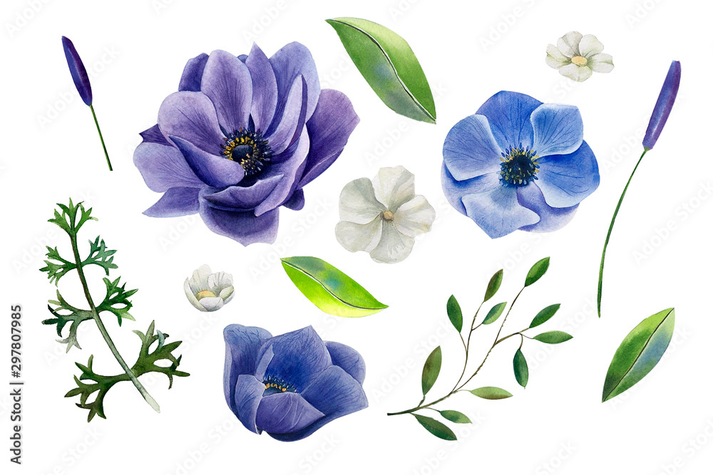 Fototapeta premium Set of watercolor blue anemone flowers, jasmine, green leaves and branches isolated on white background.