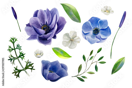 Fototapeta Naklejka Na Ścianę i Meble -  Set of watercolor blue anemone flowers,  jasmine, green leaves and branches isolated on white background. 