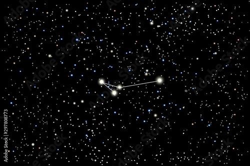 Vector illustration of the constellation Apus (Bird of Paradise) on a starry black sky background. The astronomical cluster of stars in the Southern Celestial Hemisphere