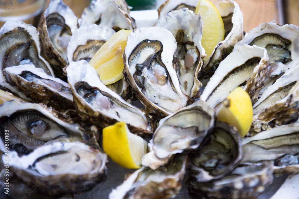 delicious oysters with lemon on the plate delicious oysters with lemon on the plate