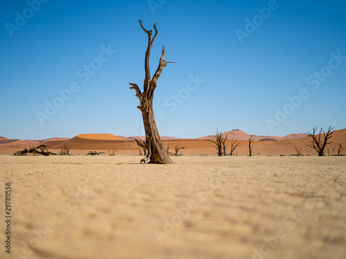 Fototapeta Naklejka Na Ścianę i Meble -  Dedvley Namibia