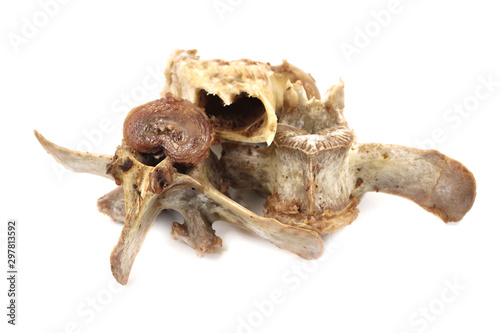 Fototapeta Naklejka Na Ścianę i Meble -  Animal vertebral bones isolated on white background. leftover food close-up
