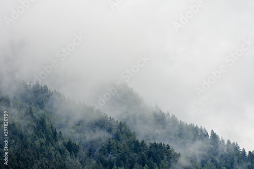 High altitude european forest in a summer foggy, misty day