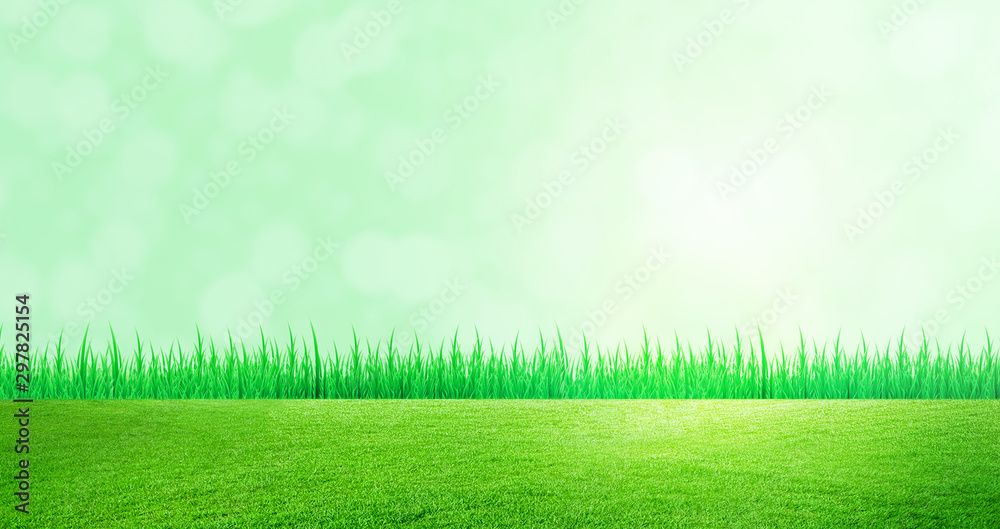 Obraz premium Green Natural Concept : Green grass natural meadow field with bokeh light in background.