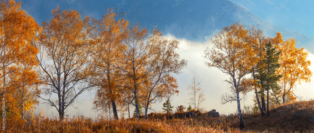Obraz premium Autumn panoramic view, indian summer. Yellow trees and fog over the valley.