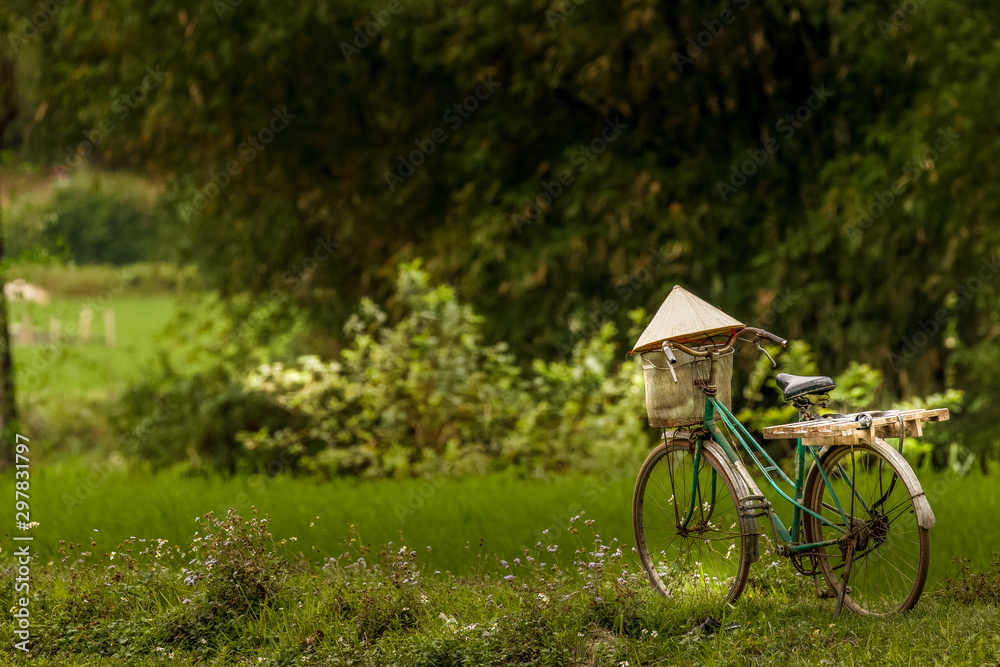 A bicycle in the rice fields of Mai Chau, Vietnam.