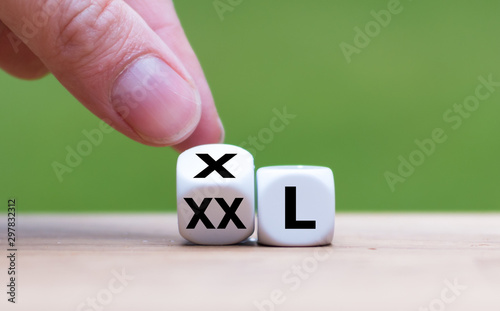 Wallpaper Mural Reducing weight concept. Hand turns a dice and changes the expression "XX-L" to "X-L". Torontodigital.ca