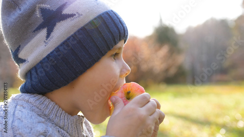 A child in the autumn Park on a picnic. He eats a juicy red Apple. Close up face