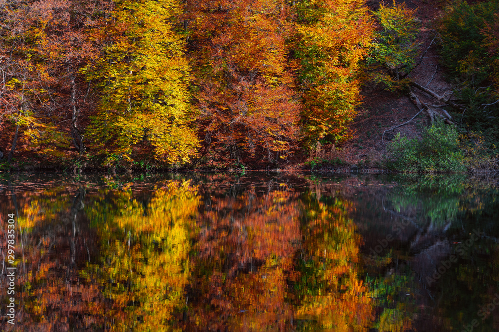 Reflection of colorful autumn trees in a lake Reflection of colorful autumn trees in a lake
